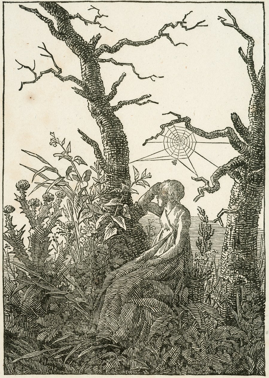 Mulher com teia de aranha entre árvores nuas de Caspar David Friedrich
