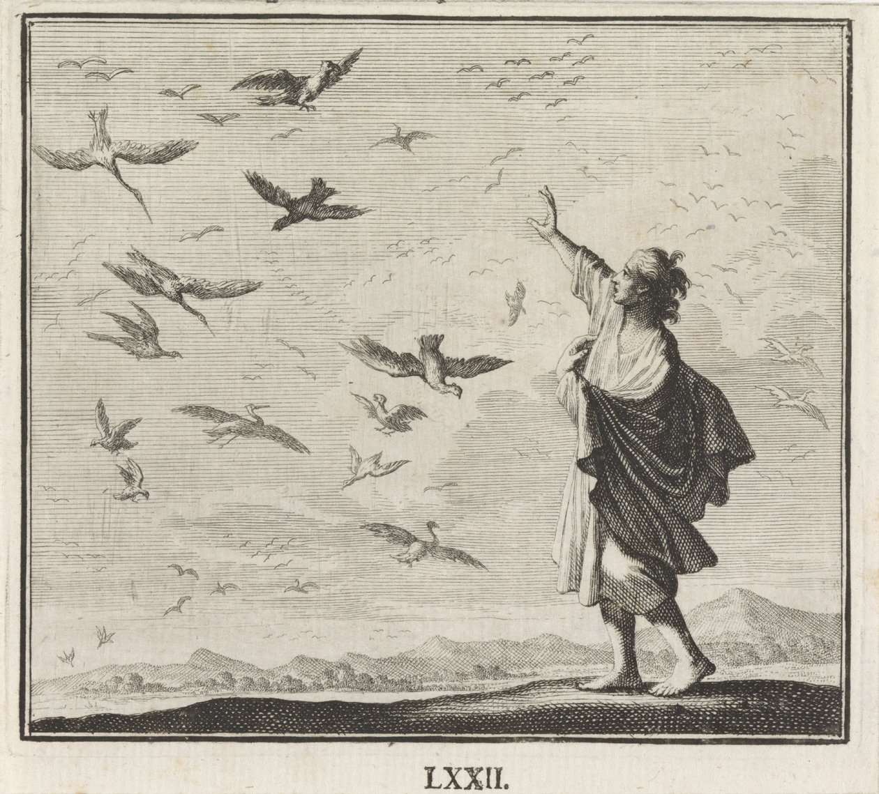 Emblema: aves de Caspar Luyken