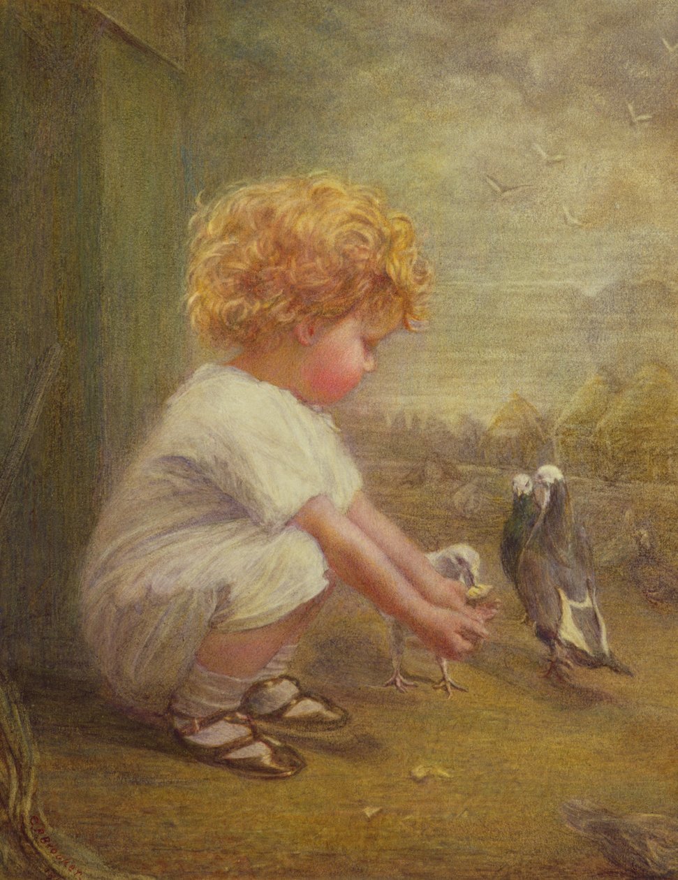 Menina, alimentação, pombos de Catherine P. Brooker