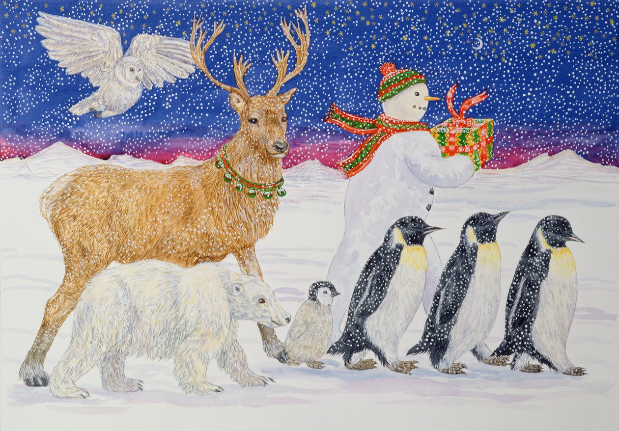 Um presente para o Papai Noel (wc no papel) de Catherine Bradbury