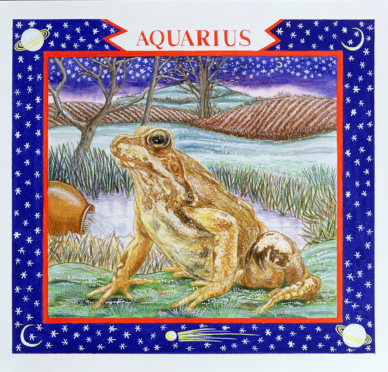 Aquário (wc no papel) de Catherine Bradbury