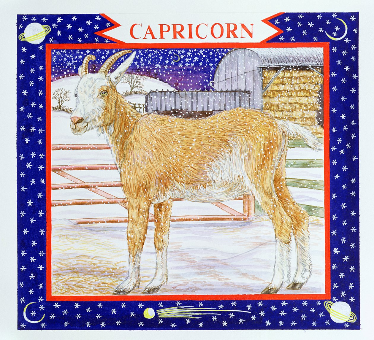 Capricórnio (wc no papel) de Catherine Bradbury
