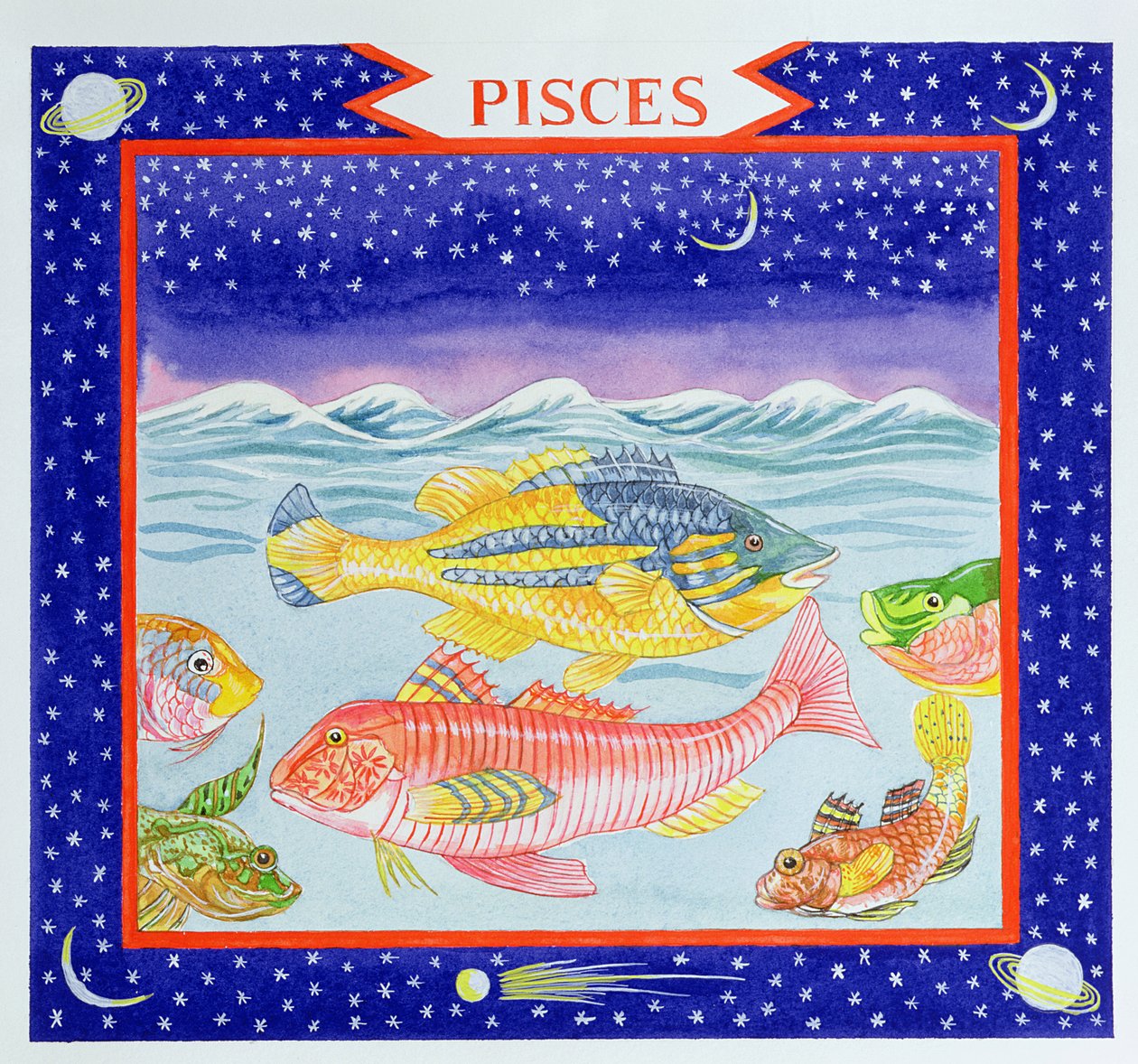 Peixes (wc no papel) de Catherine Bradbury