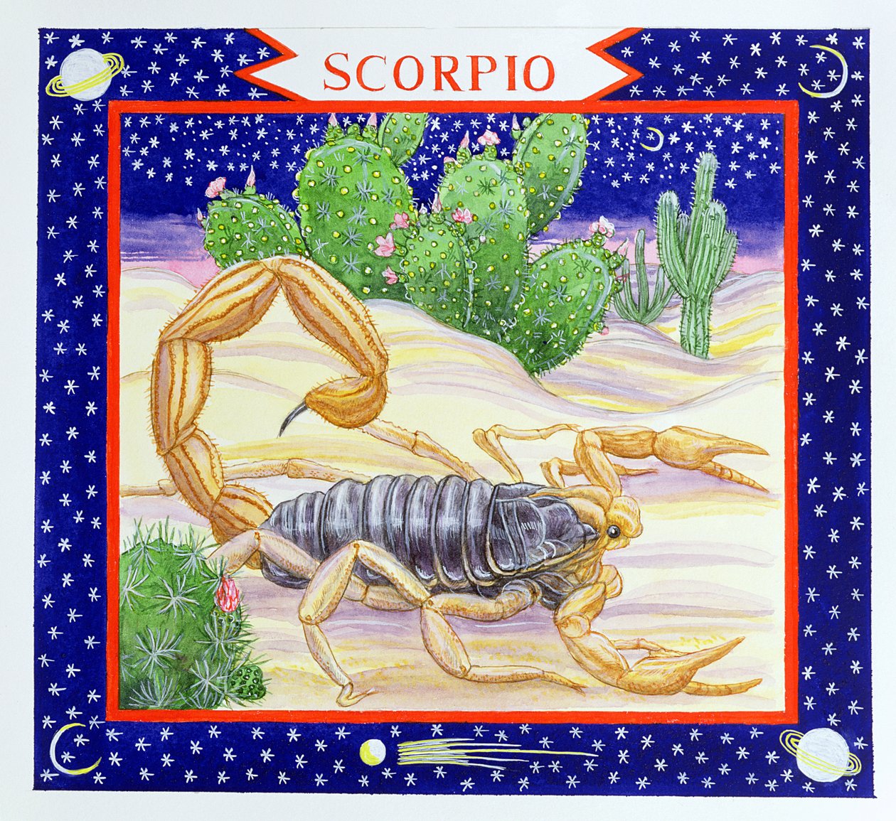 Escorpião (wc no papel) de Catherine Bradbury