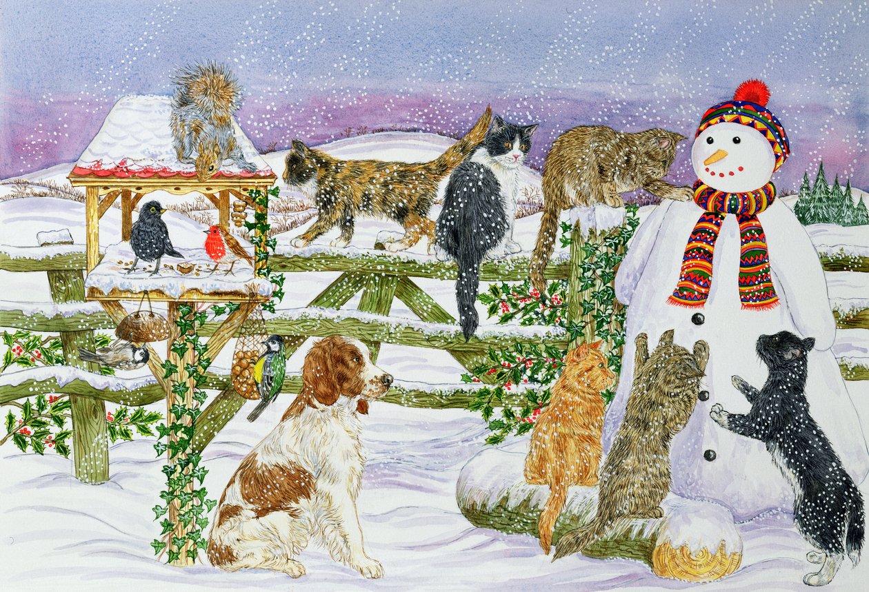 O boneco de neve e seus amigos (wc no papel) de Catherine Bradbury