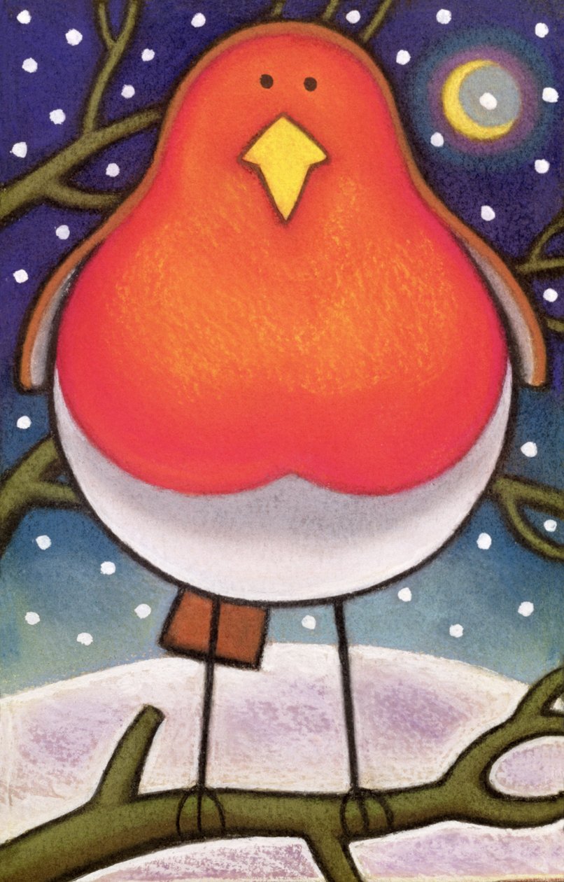 Robin de Natal, 1997 de Cathy Baxter