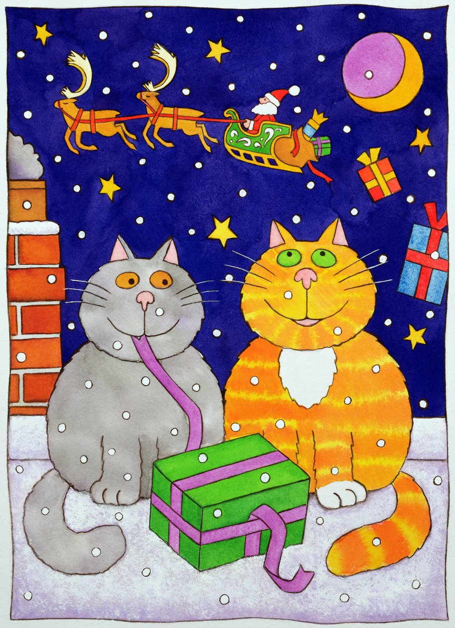 Surpresa de Natal de Cathy Baxter