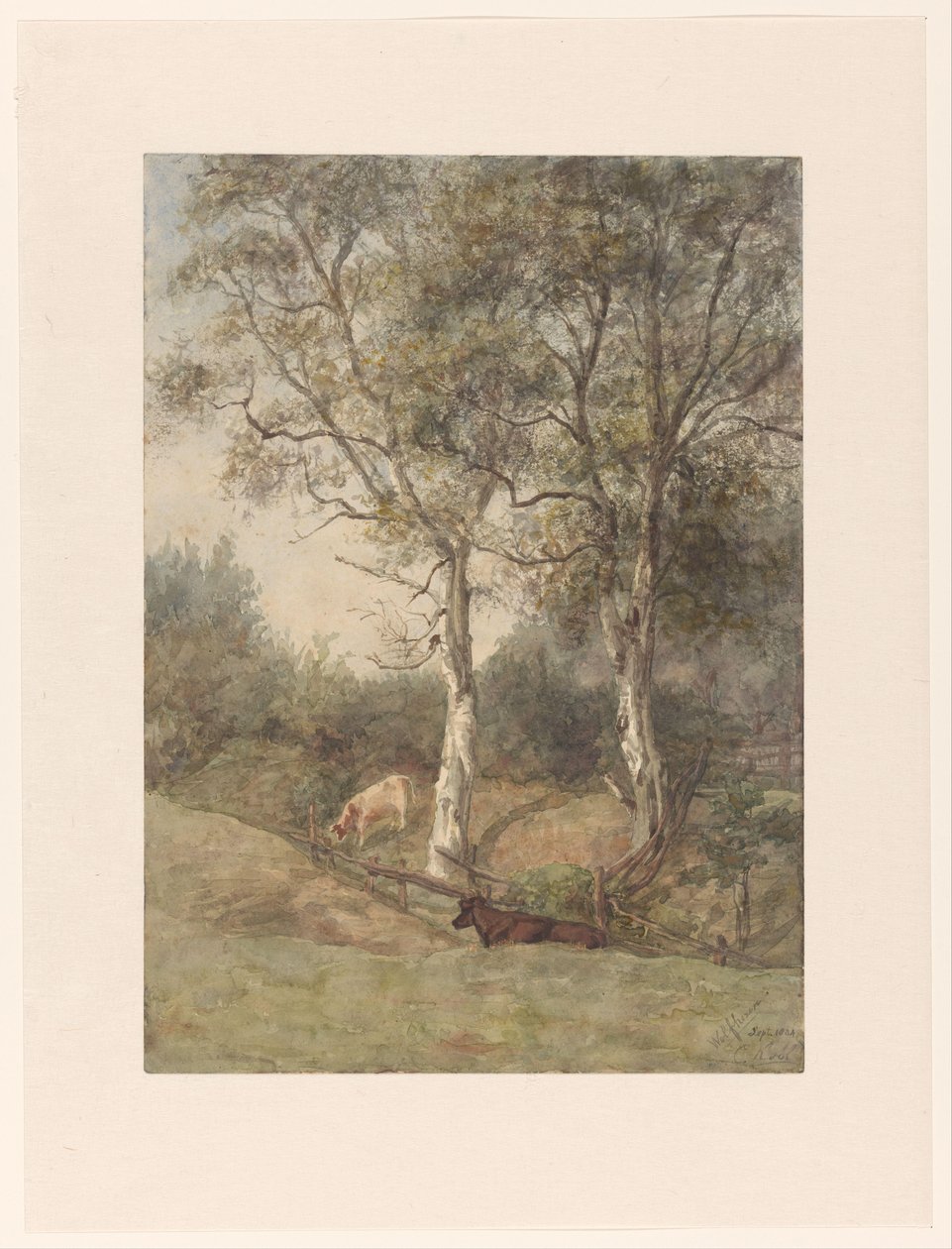 Paisagem florestal com vacas, perto de Wolfheze de Cato Kool