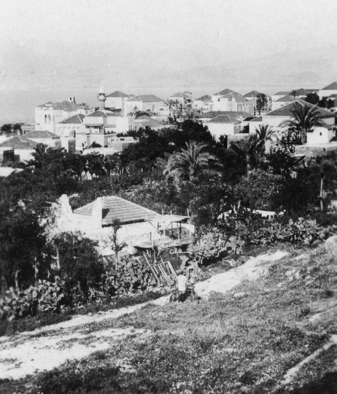 Beirute do American College, Líbano, c1927-c1931. de Cavanders Ltd