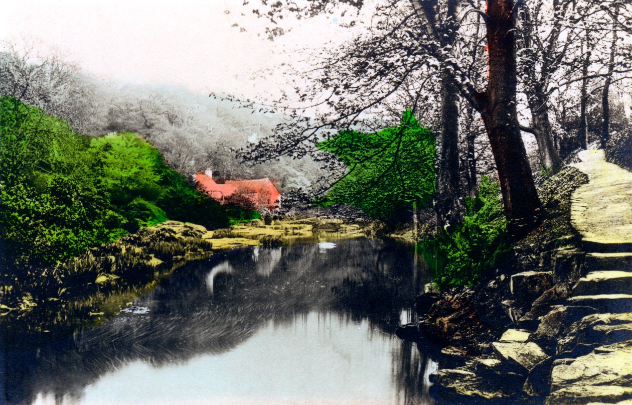 Jesmond Dene, Newcastle upon Tyne, Tyne & Wear, 1926. de Cavenders Ltd