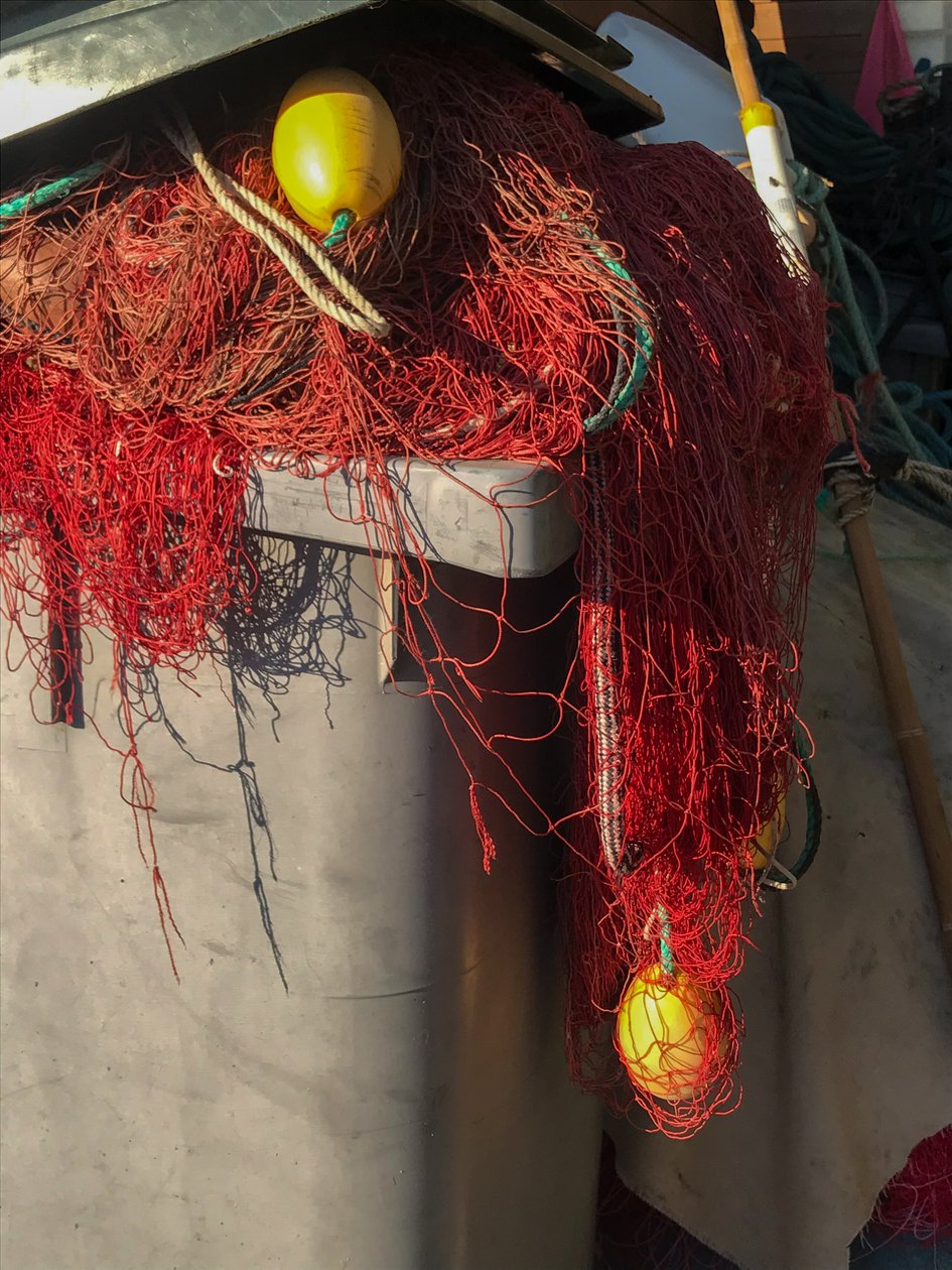 Composição - Nets, 2019 (foto) de Cécile Jamet