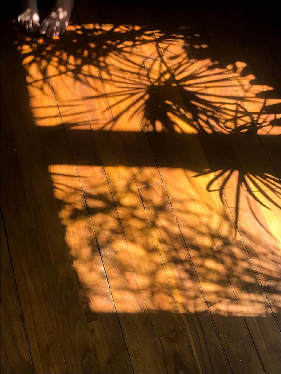 Composição - Sombras, 2019 (foto) de Cécile Jamet