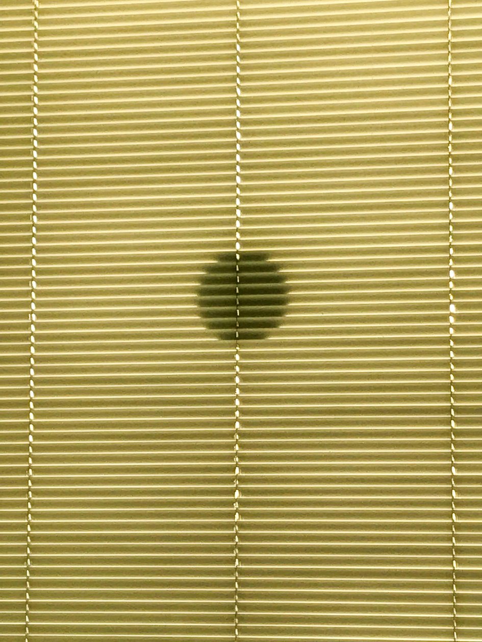 Composição - Sombras, 2019 (foto) de Cécile Jamet