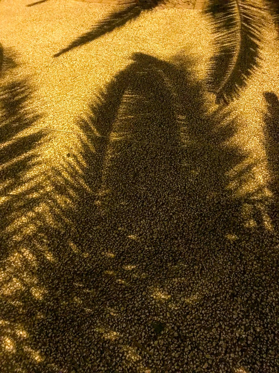 Composição - Sombras, 2021 (foto) de Cécile Jamet