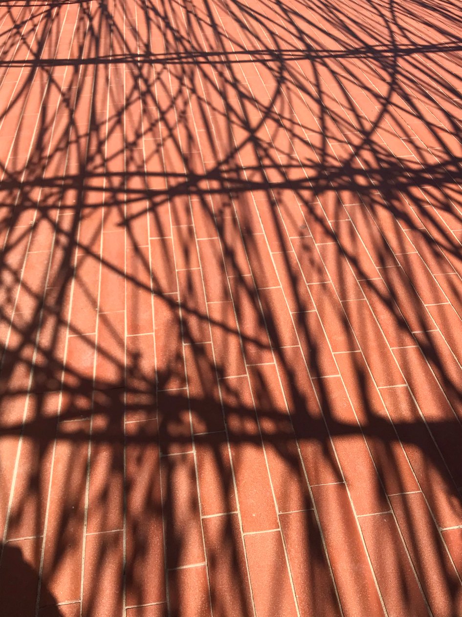 Composição - Sombras, 2021 (foto) de Cécile Jamet