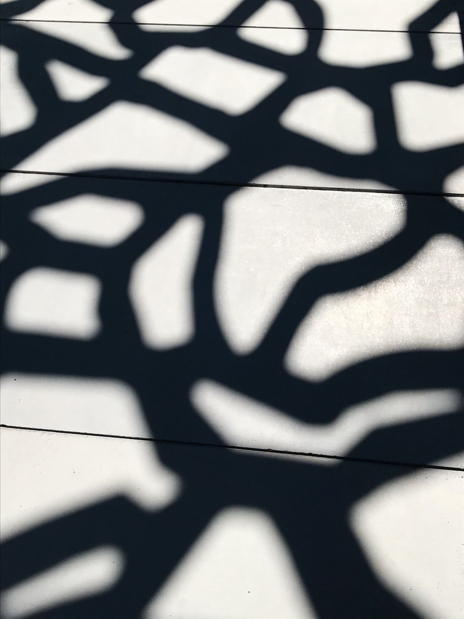 Composição - Sombras, 2021 (foto) de Cécile Jamet