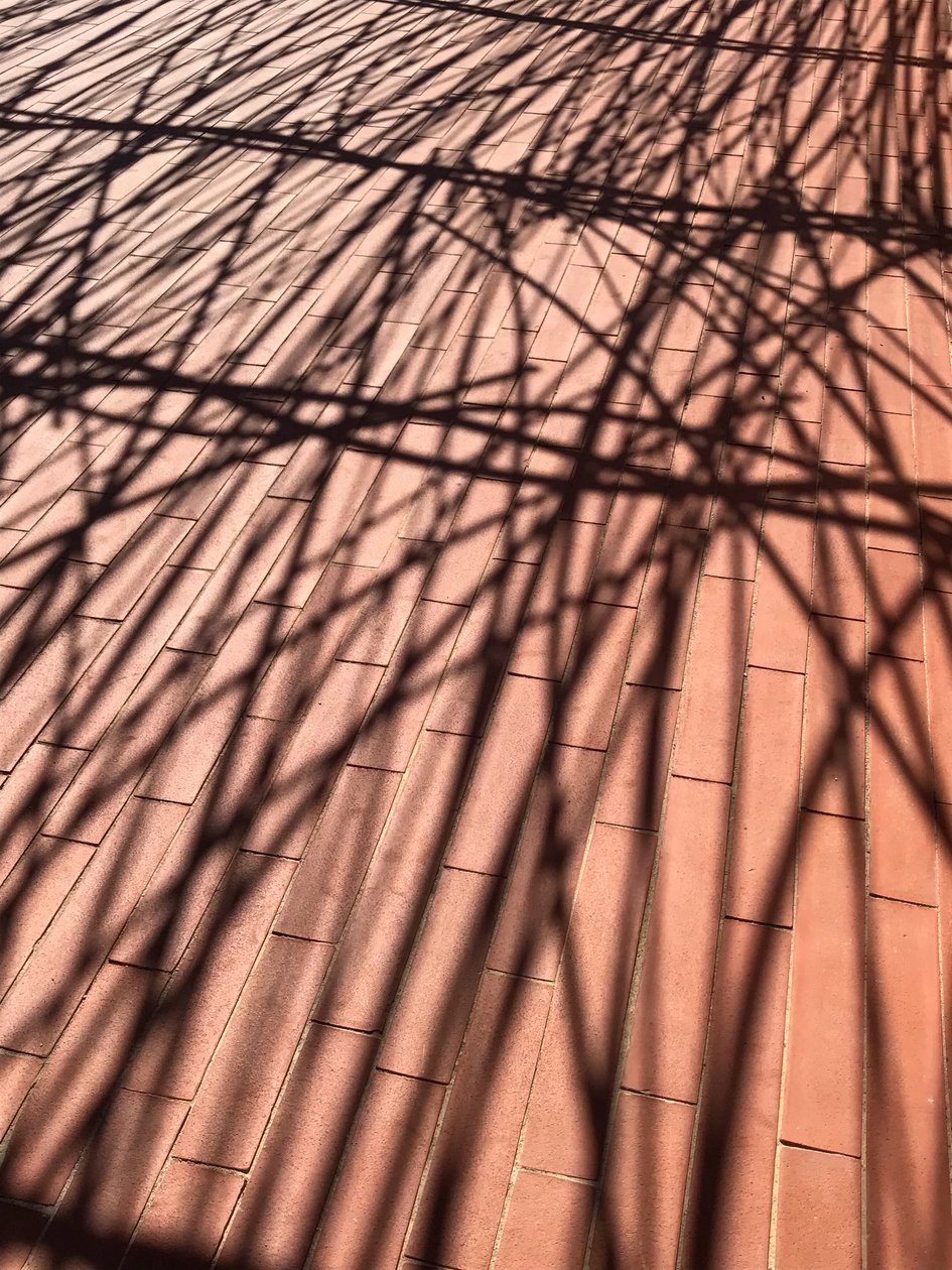 Composição - Sombras, 2021 (foto) de Cécile Jamet
