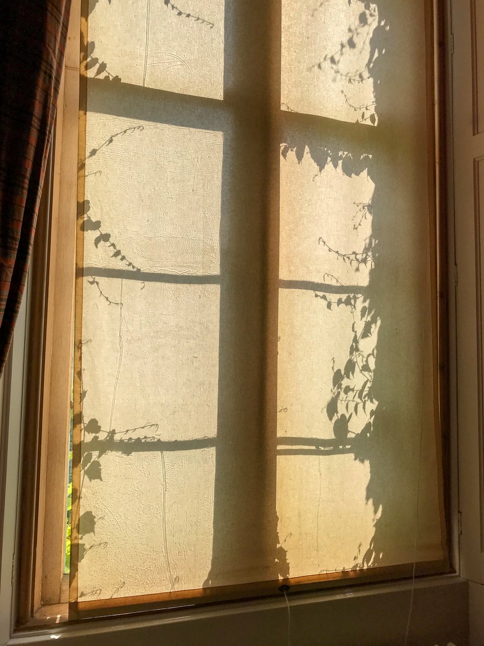 Composição - Sombras, 2021 (foto) de Cécile Jamet