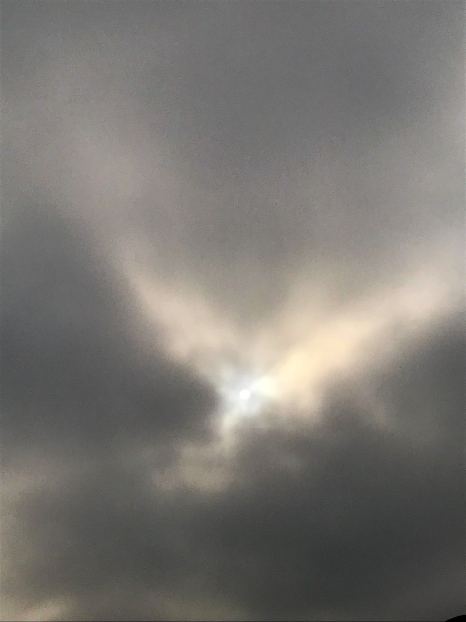 Composição - Céu, 2019 (fotografia) de Cécile Jamet