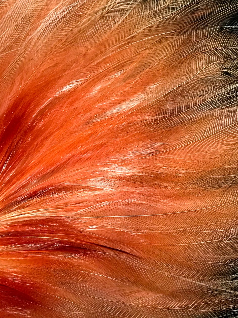 Composição - Textura, 2019 (foto) de Cécile Jamet