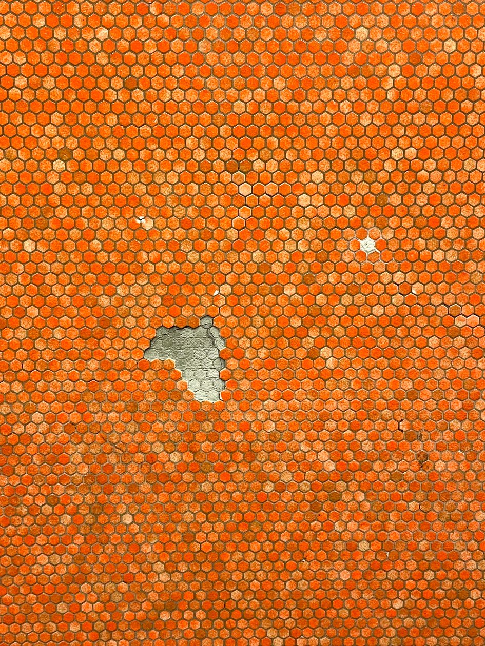 Composição - mosaico, 2022 (foto) de Cécile Jamet