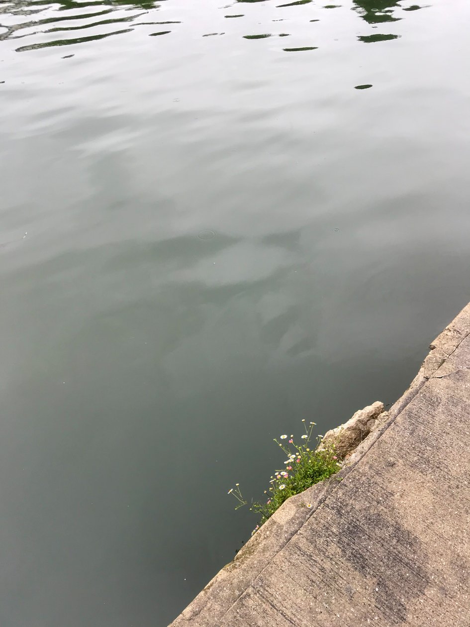Composição, 2019 (foto) de Cécile Jamet
