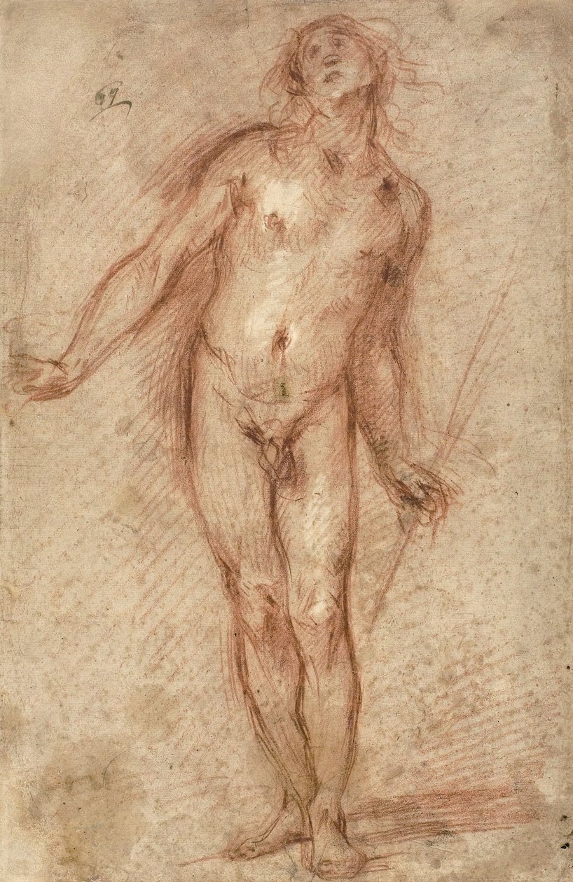 Nu masculino em pé, 1637-38 de Cecco Bravo
