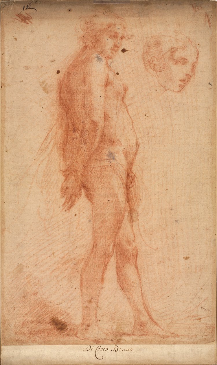 Estudo de um nu masculino em pé, com um estudo da cabeça em três quartos, c. 1640 de Cecco Bravo