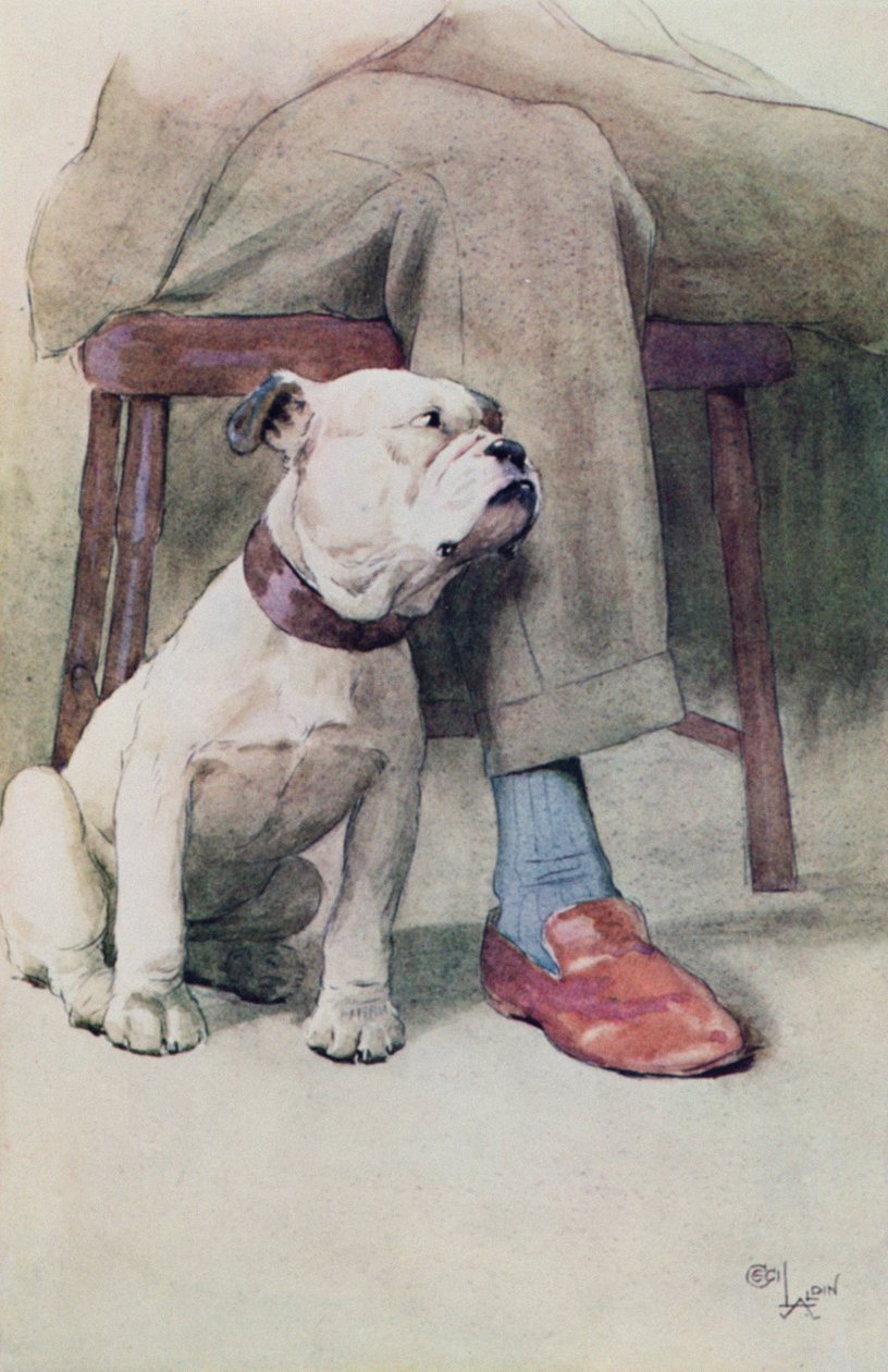 Buldogue (caneta e tinta e lavar no papel) de Cecil Charles Windsor Aldin