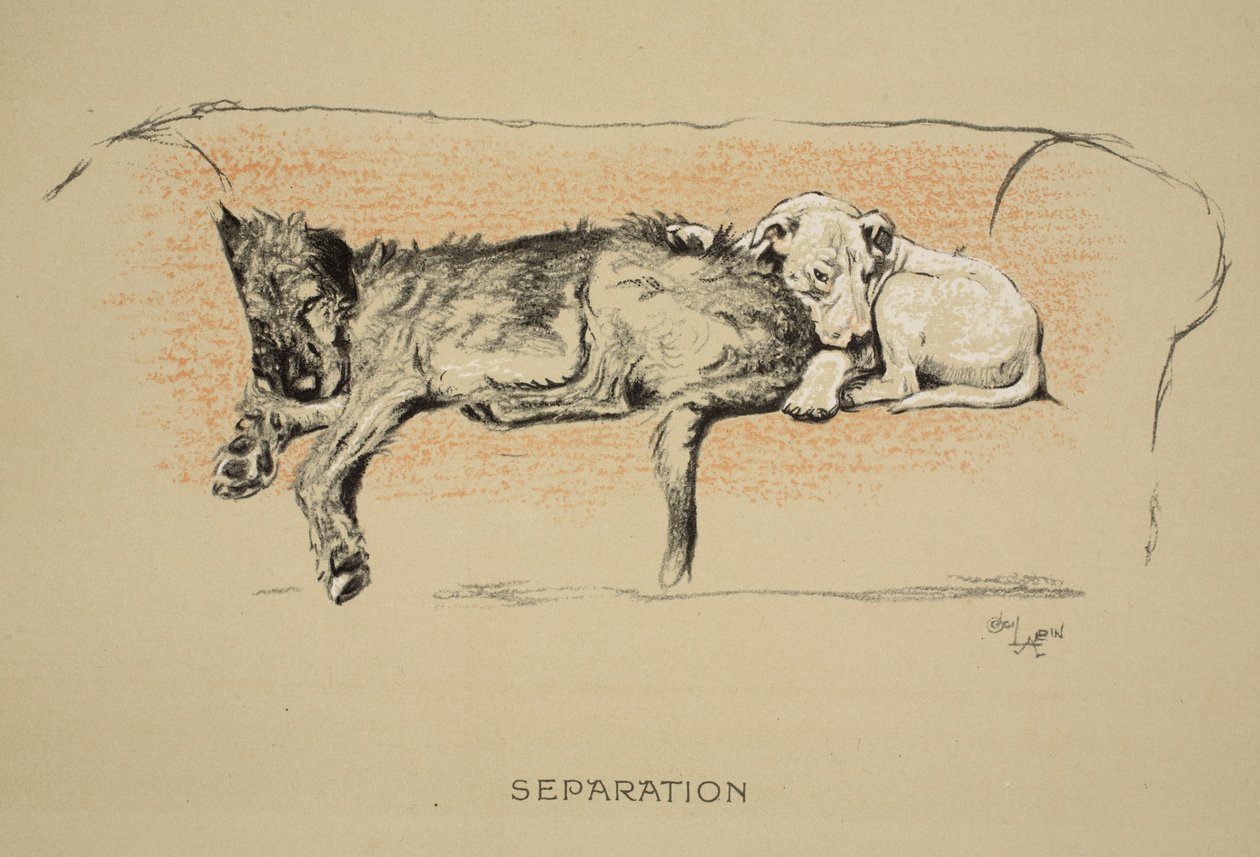 Separação, 1930, 1ª Edição de &39;Sleeping Partners&39;, Aldin, Cecil Charles Windsor (1870-1935), publicado por Eyre e Spottiswoode Limited, Giz e Carvão sobre papel de Cecil Charles Windsor Aldin