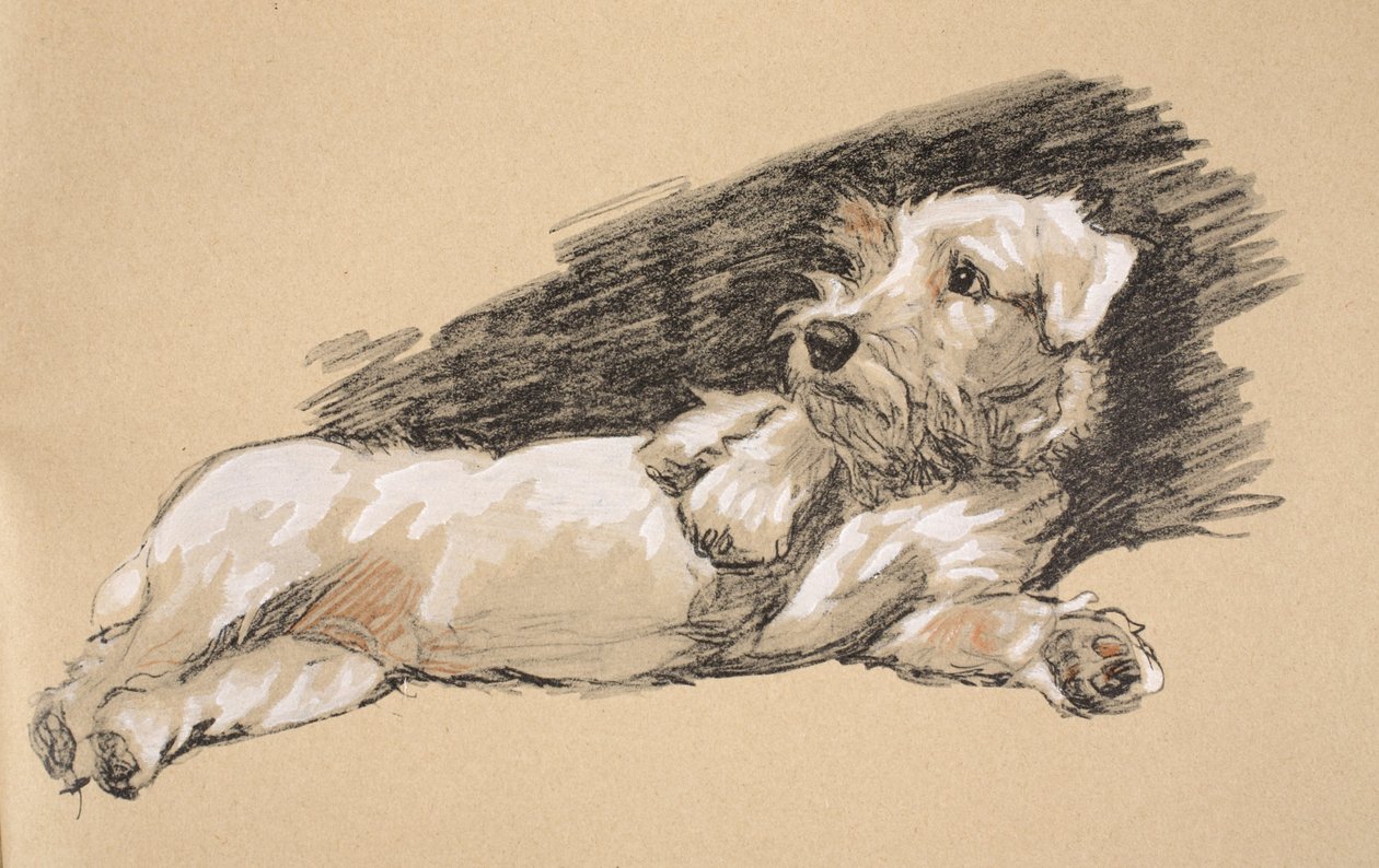Detalhe de Terrier, 1930, ilustrações de seu livro de esboços usado para &39;Só Entre Amigos&39;, Aldin, Cecil Charles Windsor (1870-1935), mais tarde publicado pela Eyre e Spottiswoode Limited, 1934, Chalk e Char de Cecil Charles Windsor Aldin