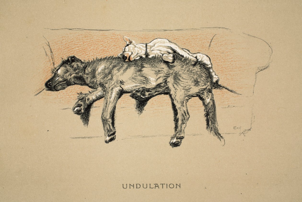 Undulation, 1930, 1ª Edição de &39;Sleeping Partners&39;, Aldin, Cecil Charles Windsor (1870-1935), publicado por Eyre e Spottiswoode Limited, Giz e Carvão sobre papel de Cecil Charles Windsor Aldin
