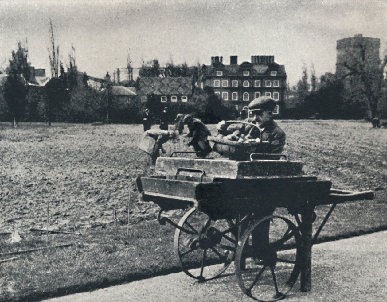 Batatas em Kew Gardens, 1941 de Cecil Beaton