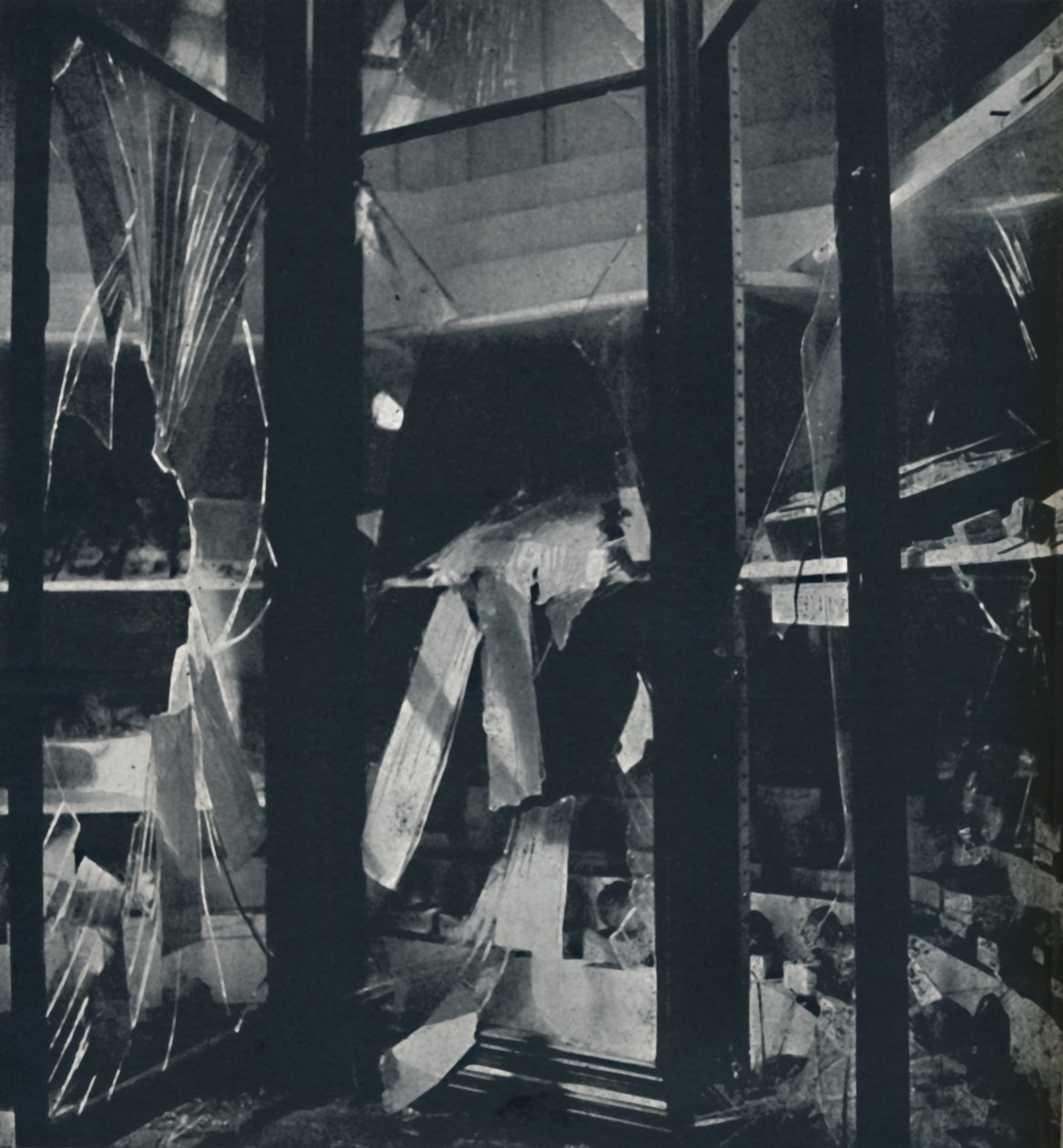 Mostrar casos no Museu de História Natural, 1941 de Cecil Beaton