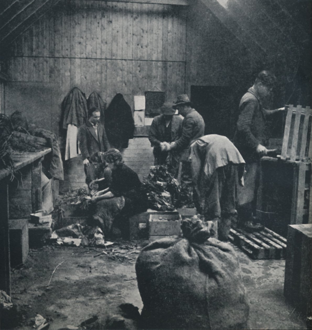 Legumes para o mercado, 1941 de Cecil Beaton