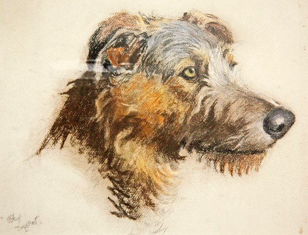 Um cão de caça escocês (pastel sobre papel tingido) de Cecil Charles Windsor Aldin