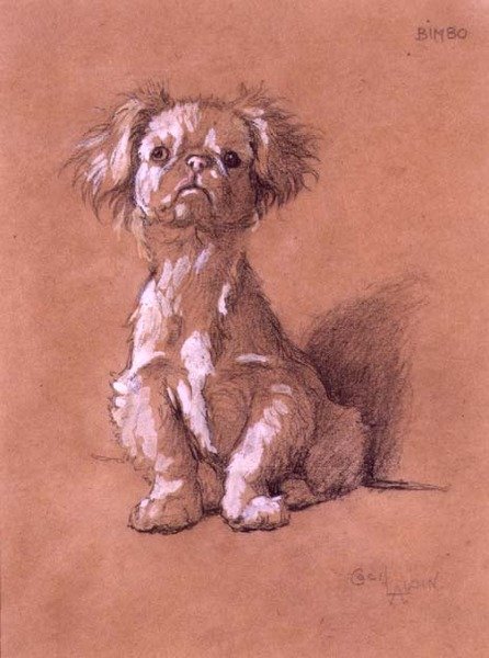 Bimbo (lápis e guache sobre papel) de Cecil Charles Windsor Aldin