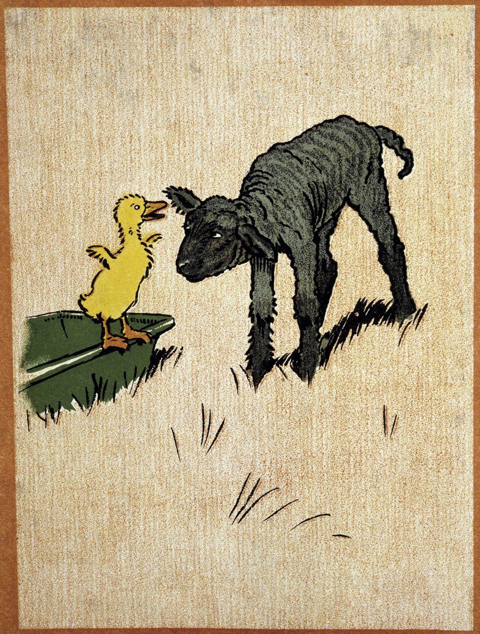 Cordeiro preto e patinho - desenho de Aldin de Cecil Charles Windsor Aldin