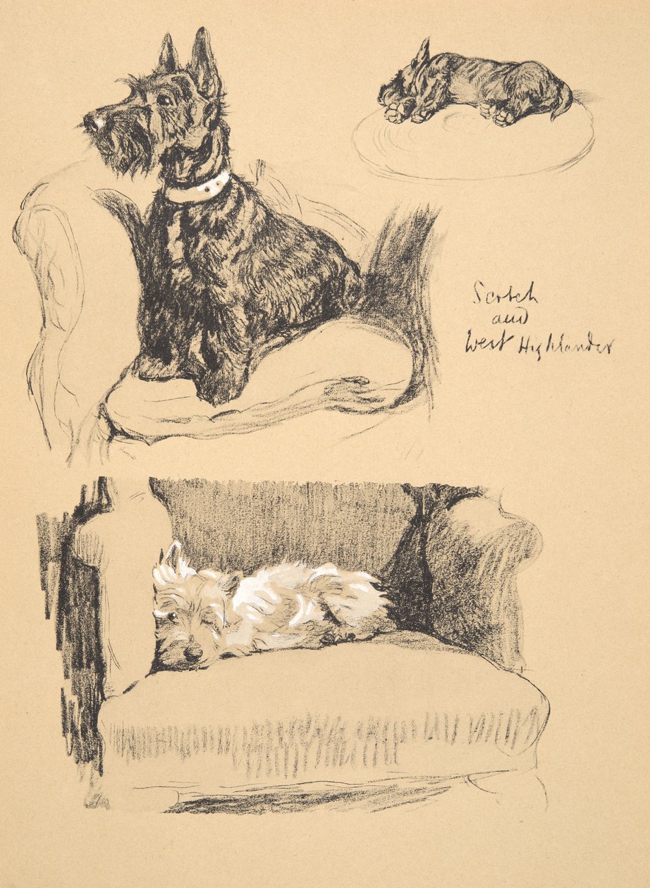 Scotch e West Highlander, 1930, ilustrações de seu livro de desenho usado para apenas entre amigos, Aldin, Cecil Charles Windsor (1870-1935), mais tarde publicado pela Eyre e Spottiswoode Limited, 1934, Chal de Cecil Charles Windsor Aldin