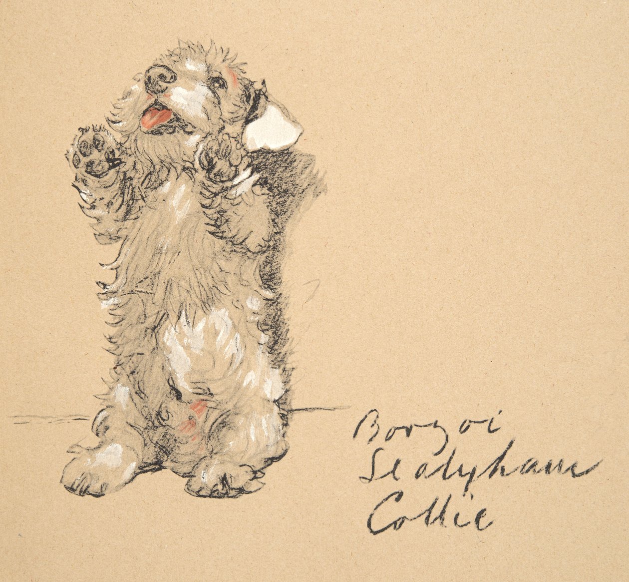 Sealyham, 1930, ilustrações de seu caderno de esboços usado apenas entre amigos, mais tarde publicado por Eyre e Spottiswoode Limited, 1934 (giz e charcolal no papel) de Cecil Charles Windsor Aldin