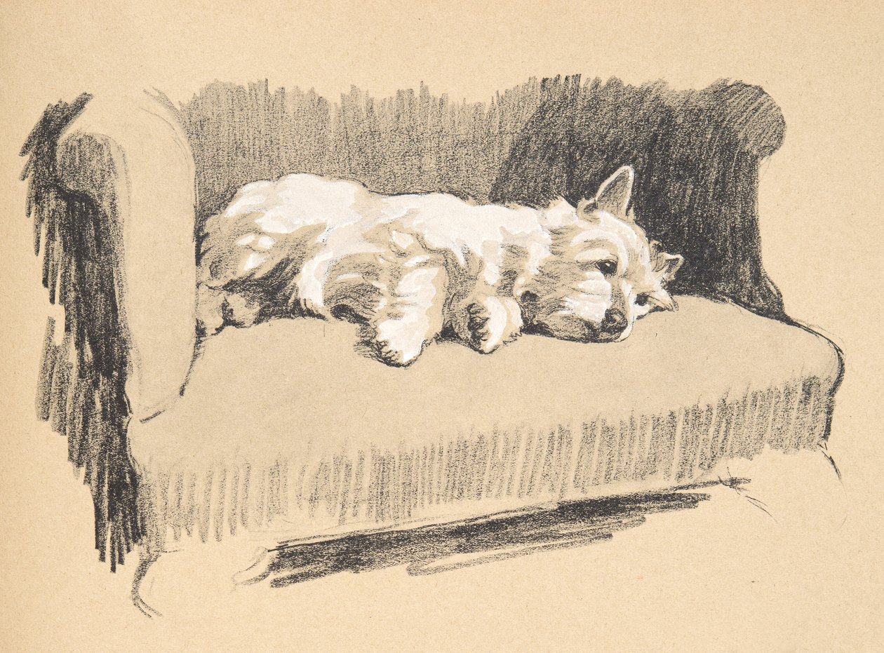 West Highlander, 1930, ilustrações de seu livro de esboços usado para &39;Só Entre Amigos&39;, Aldin, Cecil Charles Windsor (1870-1935), mais tarde publicado por Eyre e Spottiswoode Limited, 1934, Chalk and Cha de Cecil Charles Windsor Aldin