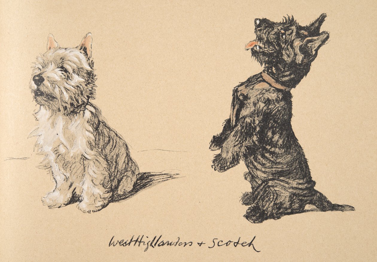Highlander ocidental e escocês, 1930, ilustrações de seu livro de desenho usado para &39;apenas entre amigos&39;, Aldin, Cecil Charles Windsor (1870-1935), mais tarde publicado pela Eyre e Spottiswoode Limited, 1934, Ch de Cecil Charles Windsor Aldin