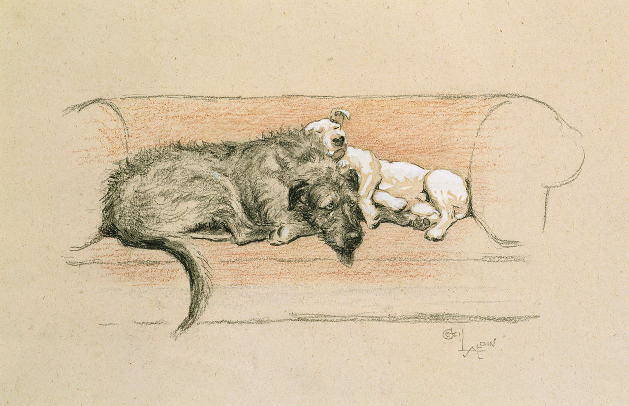 Wolfhound e Bull Terrier Adormecidos num Sofá (pastel sobre papel) de Cecil Charles Windsor Aldin