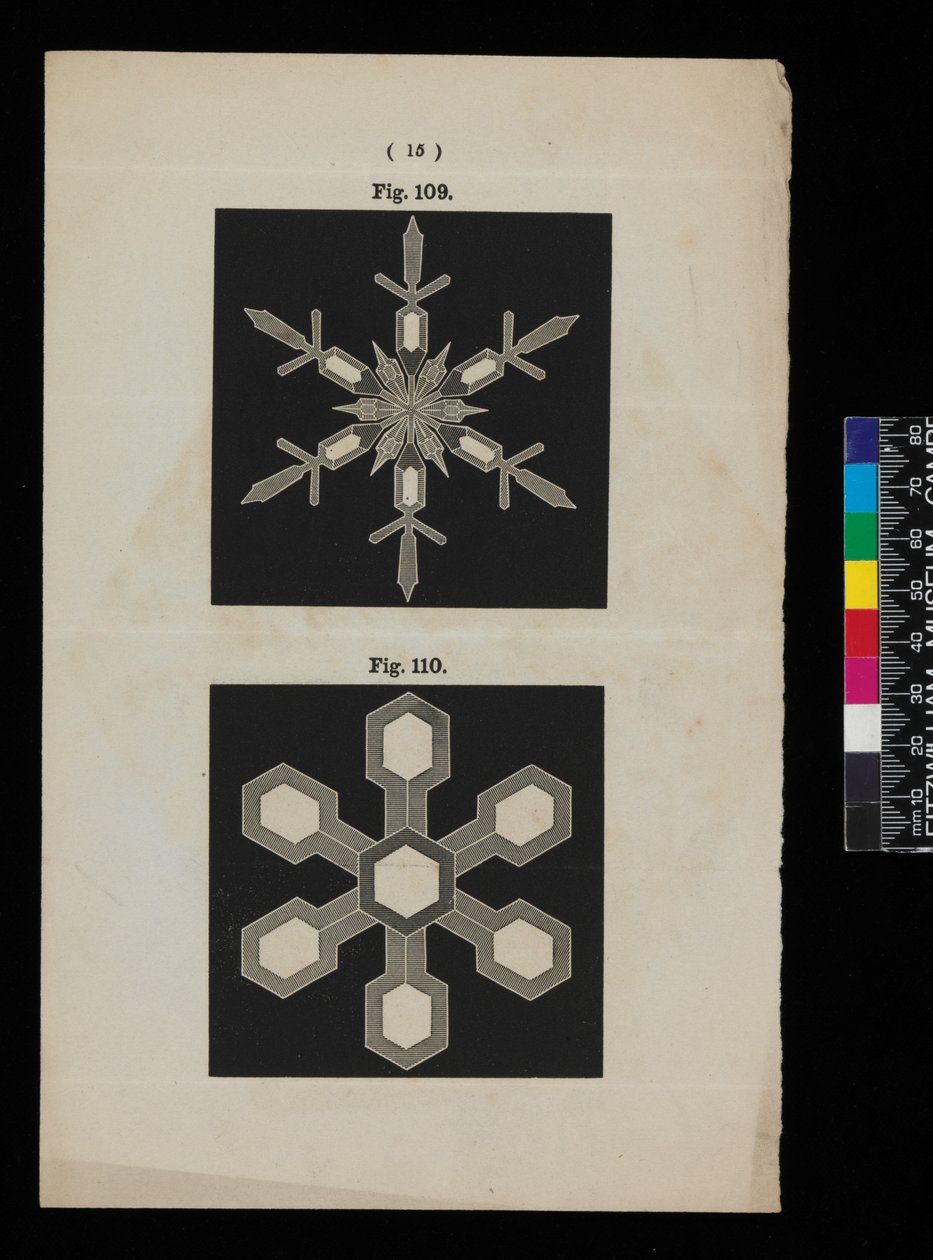 Cristais de neve de Cecilia Glaisher