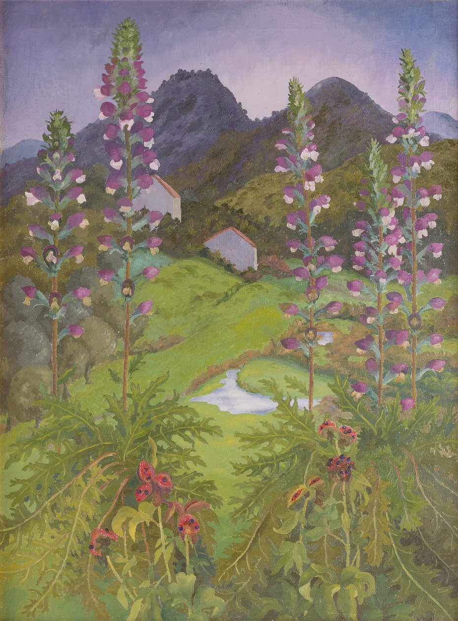 Acanto de Cedric Morris