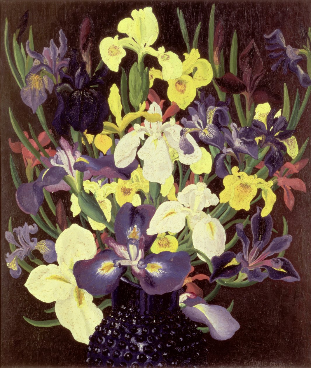 Grupo de Irises, c.1940 de Cedric Morris