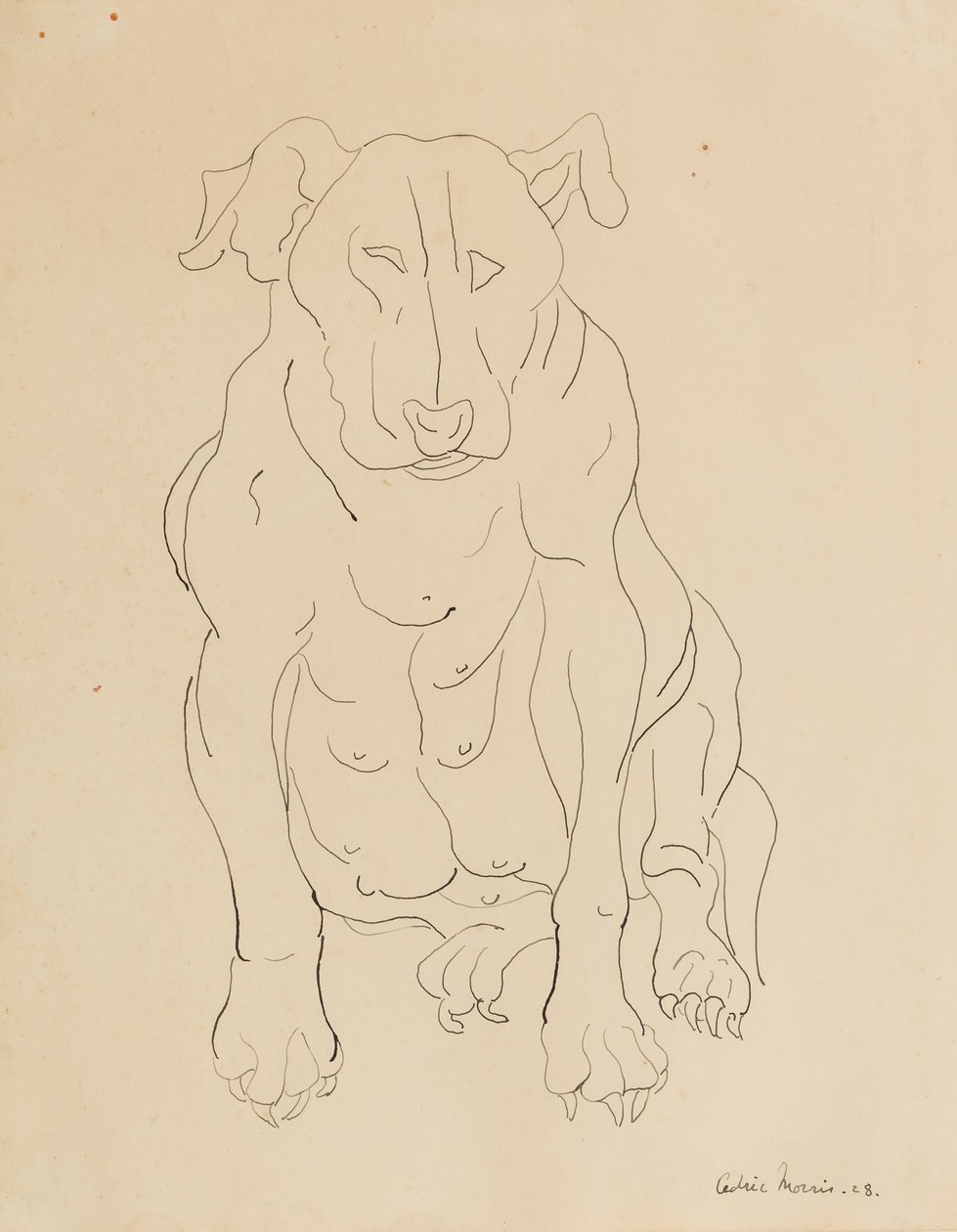 Cachorro macho de Nancy Morris de Cedric Morris