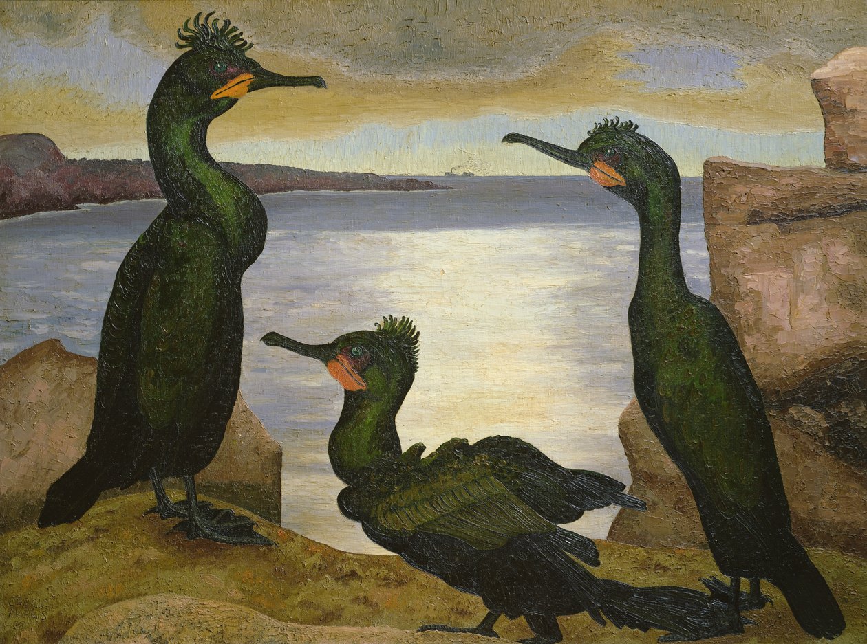 Shags de Cedric Morris