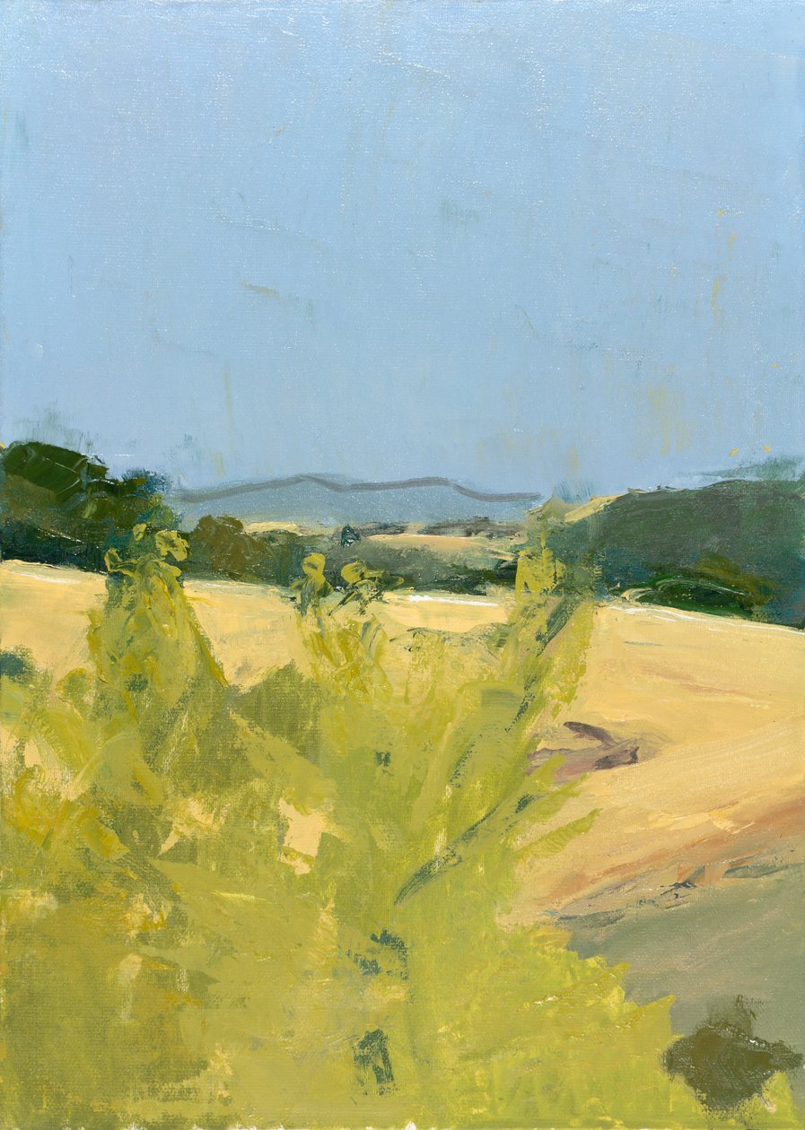 Montagne Noire, Sudoeste de França 2012 (Óleo sobre cartão) de Celia Montague
