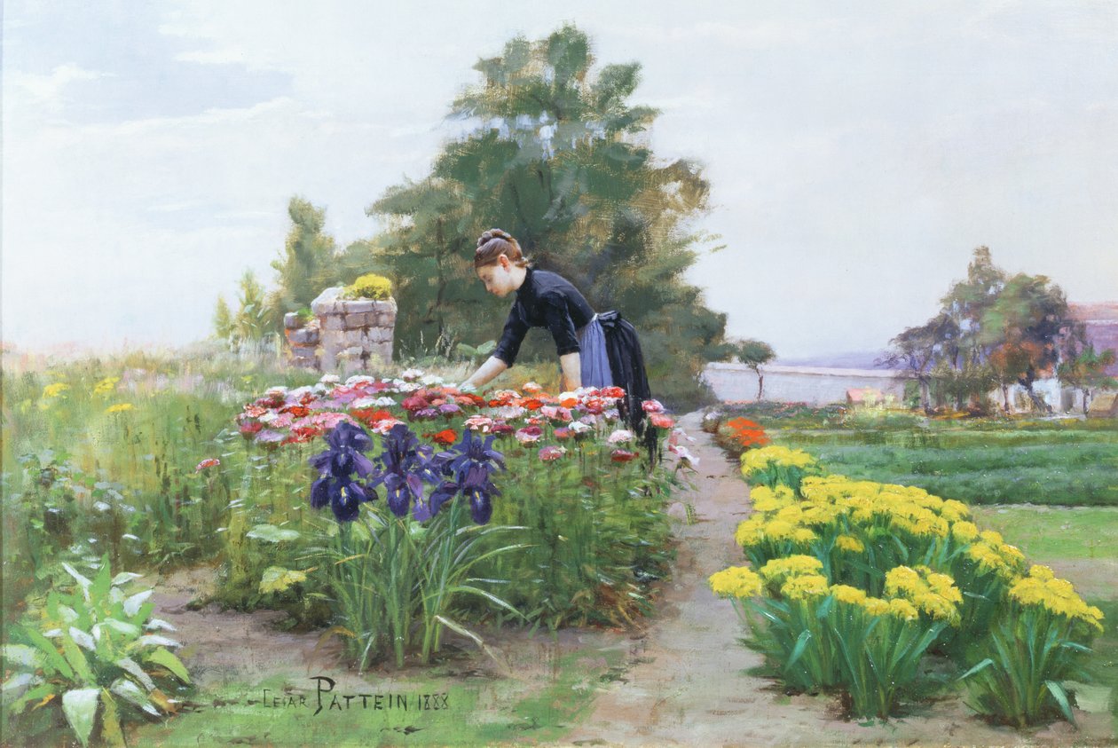 O jardim de flores, 1888 de Cesar Pattein